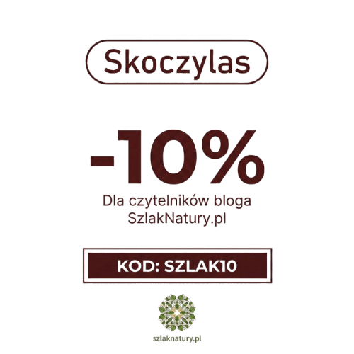 10-procent-szkoczylas-bt